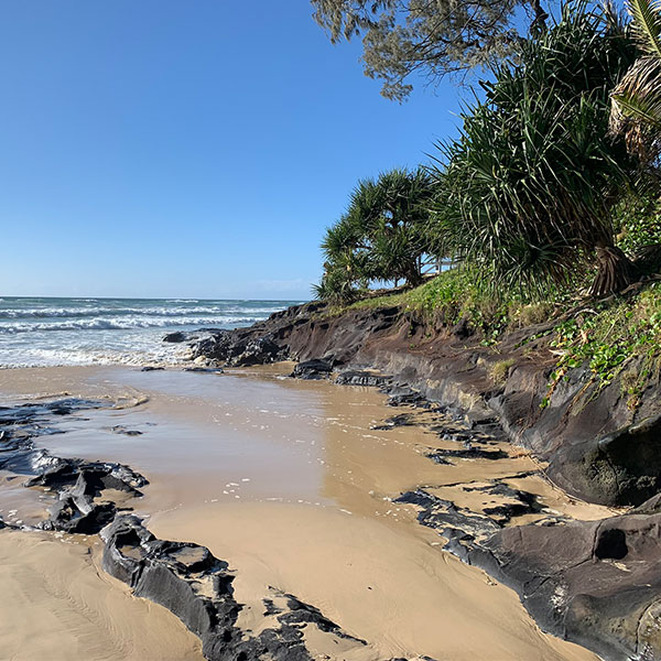 Dig's in the Valley - Fraser Island