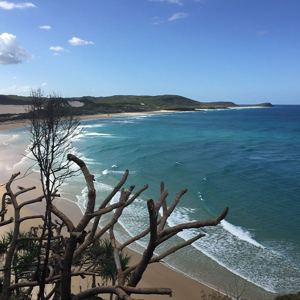 Dig's in the Valley - Fraser Island